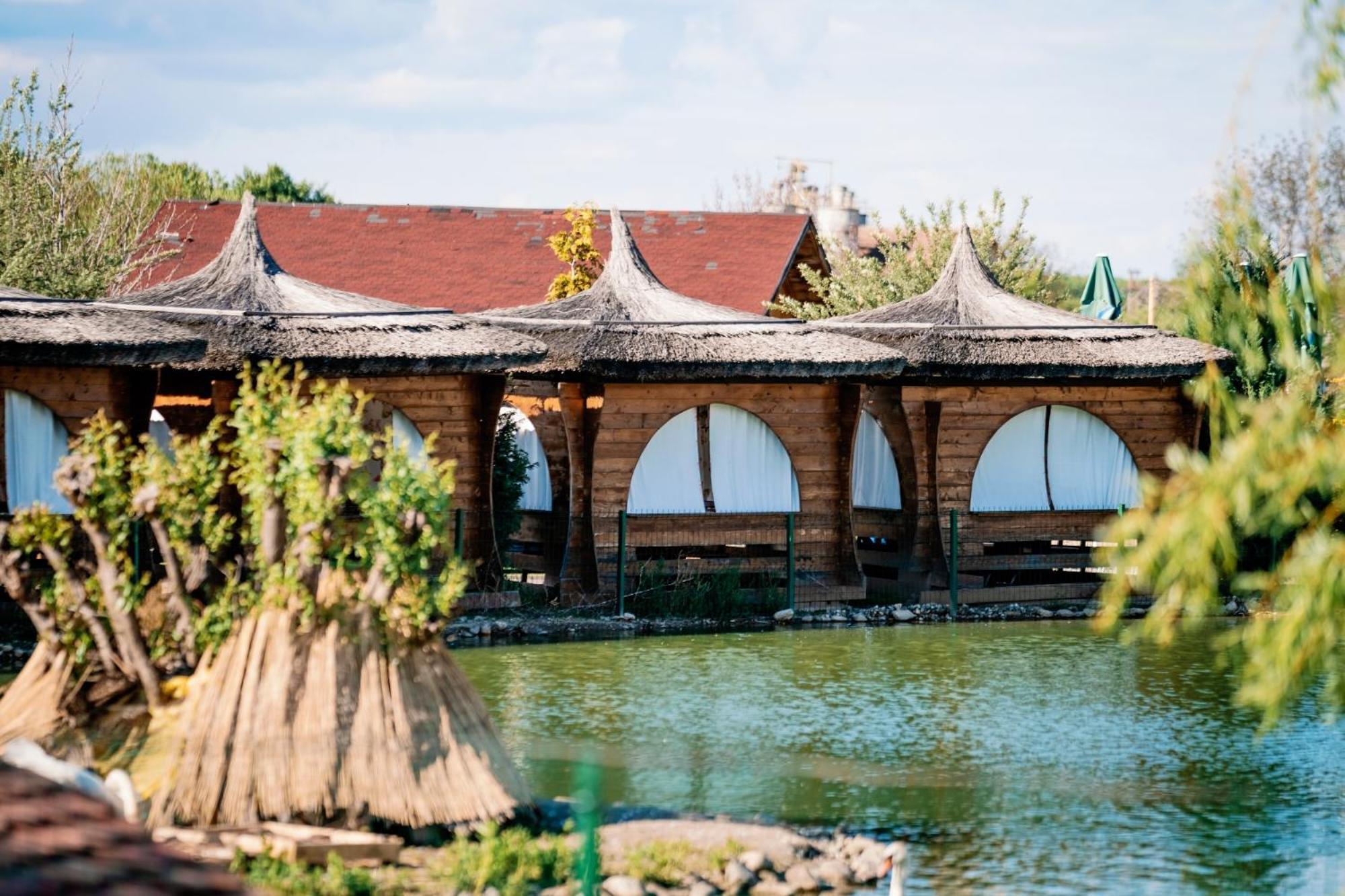 Hotel Montana Garden Răşinari Esterno foto